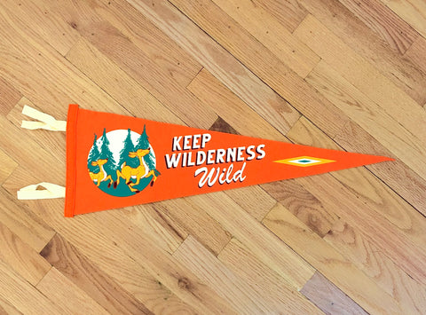 Oxford Pennant Flag Keep Wilderness Wild